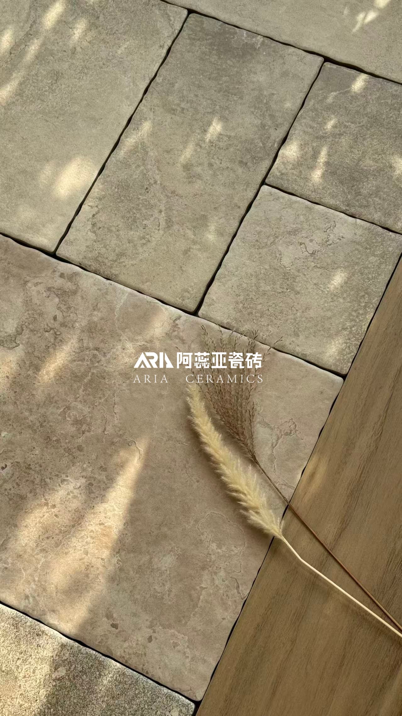 微信图片_2026-10-15_135145_835.jpg